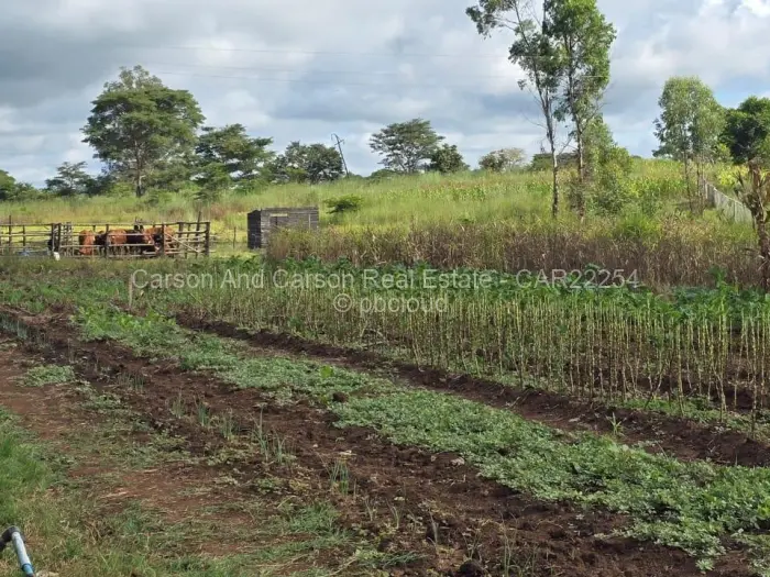 Farm/Plot for Sale in Arcturus, Arcturus