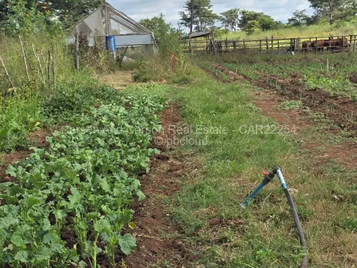 Farm/Plot for Sale in Arcturus, Arcturus