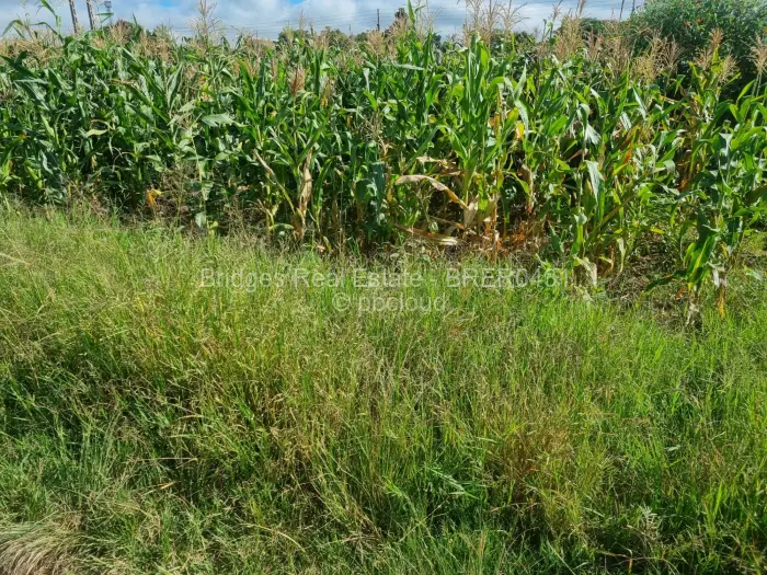 Residential Stand for Sale in Norton, Norton