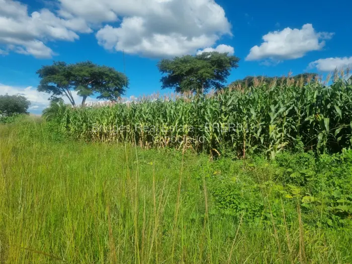 Residential Stand for Sale in Norton, Norton