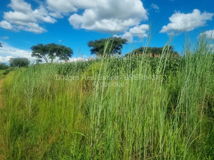 Residential Stand for Sale in Norton, Norton