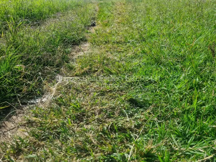 Residential Stand for Sale in Norton, Norton