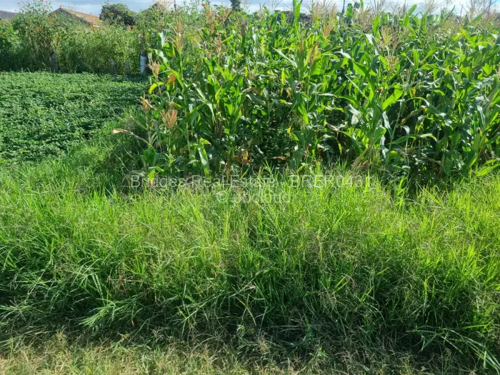 Residential Stand for Sale in Norton, Norton