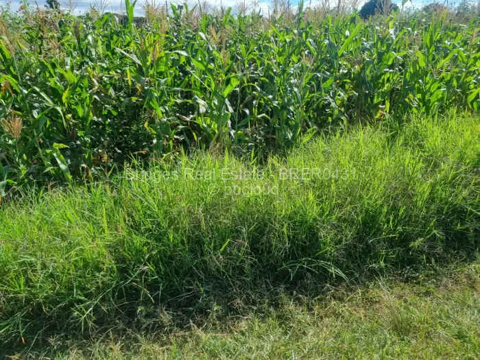 Residential Stand for Sale in Norton, Norton