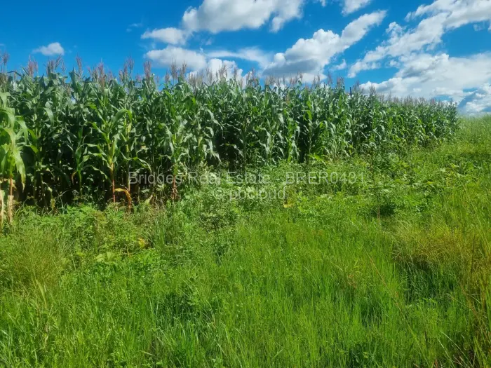 Residential Stand for Sale in Norton, Norton