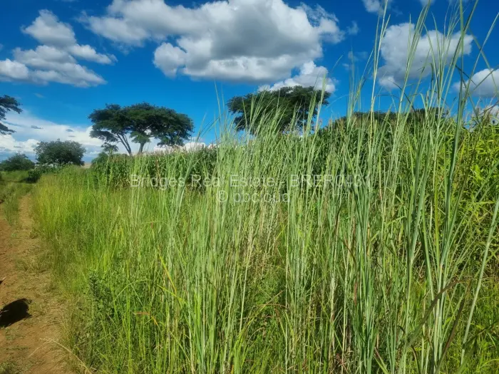 Residential Stand for Sale in Norton, Norton