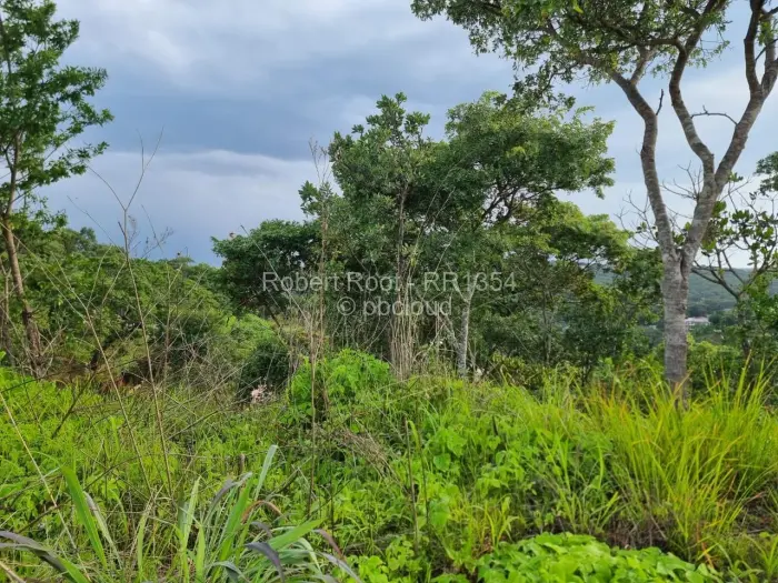 Residential Stand for Sale in Carrick Creagh Estate, Harare
