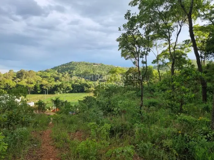 Residential Stand for Sale in Carrick Creagh Estate, Harare