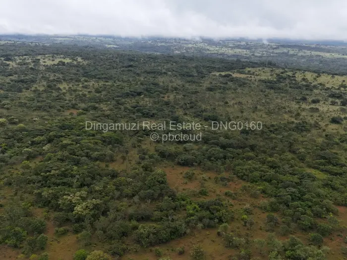 Farm/Plot for Sale in Chipinge, Chipinge