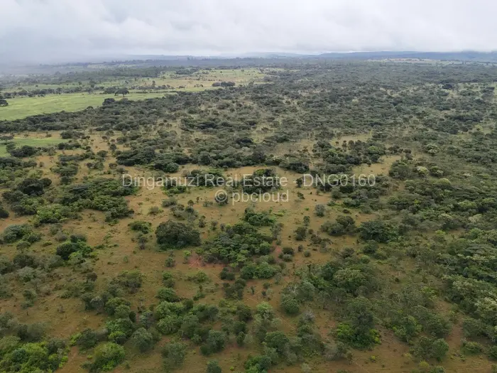 Farm/Plot for Sale in Chipinge, Chipinge