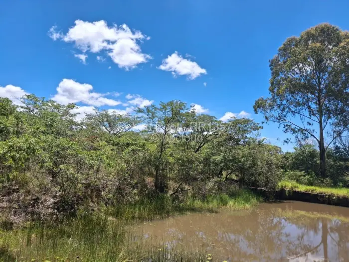 Residential Stand for Sale in Nyanga, Nyanga