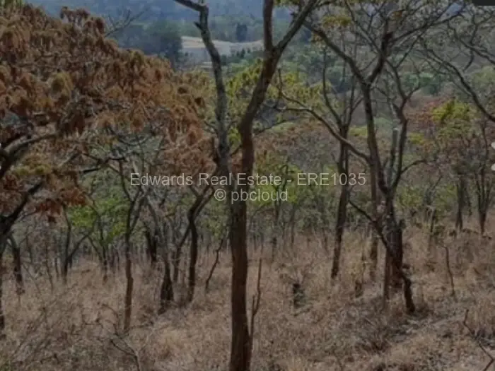 Residential Stand for Sale in Umwinsidale, Harare