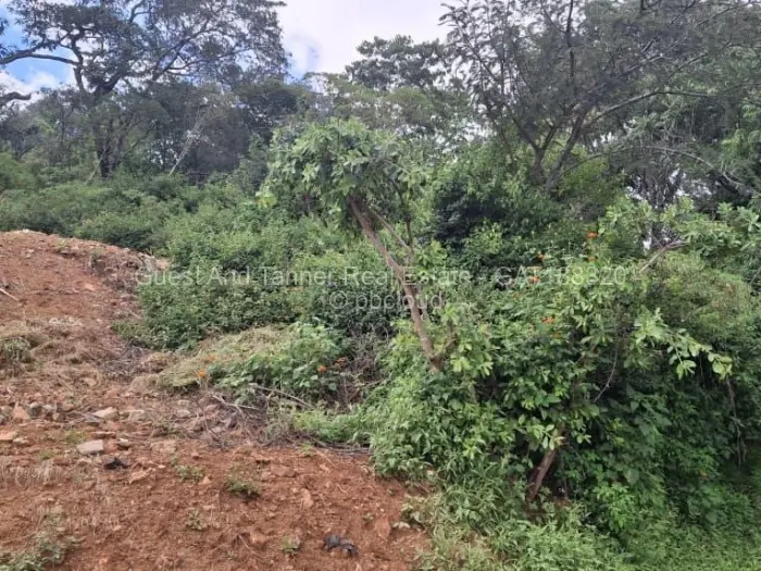 Residential Stand for Sale in Helensvale, Harare
