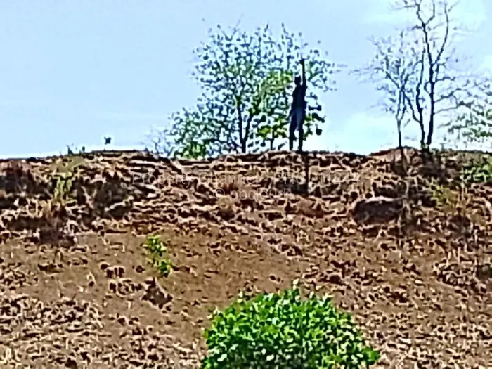 Residential Stand for Sale in Shamva, Shamva