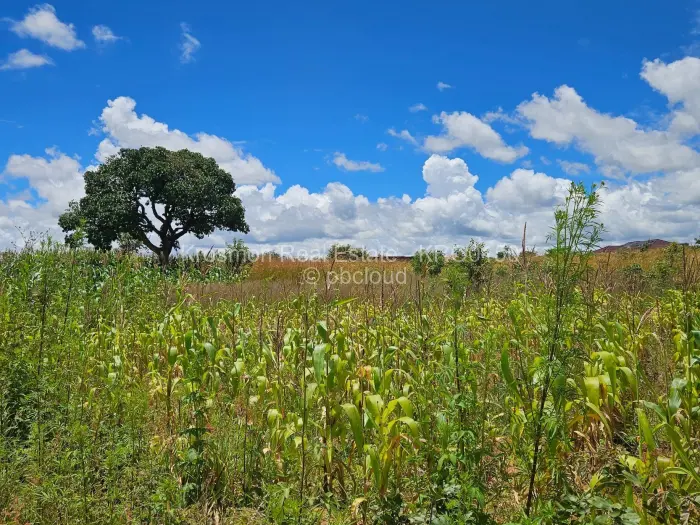 Residential Stand for Sale in Landyview Park, Marondera