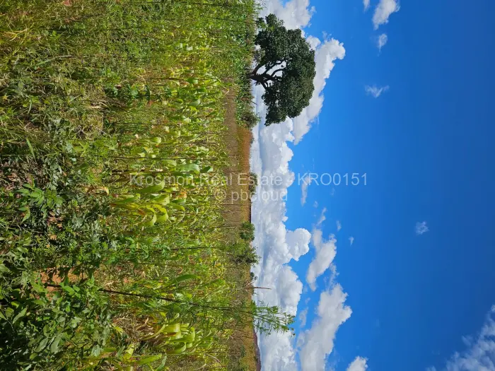 Residential Stand for Sale in Landyview Park, Marondera