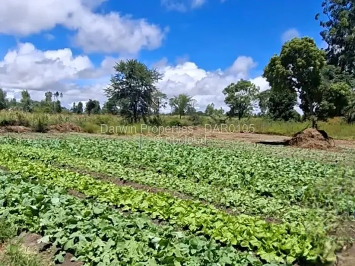 Farm/Plot for Sale in Ruwa, Ruwa