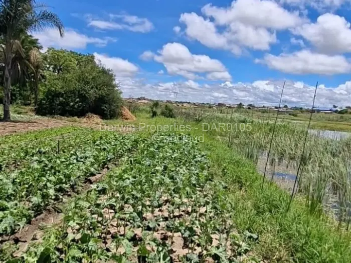 Farm/Plot for Sale in Ruwa, Ruwa
