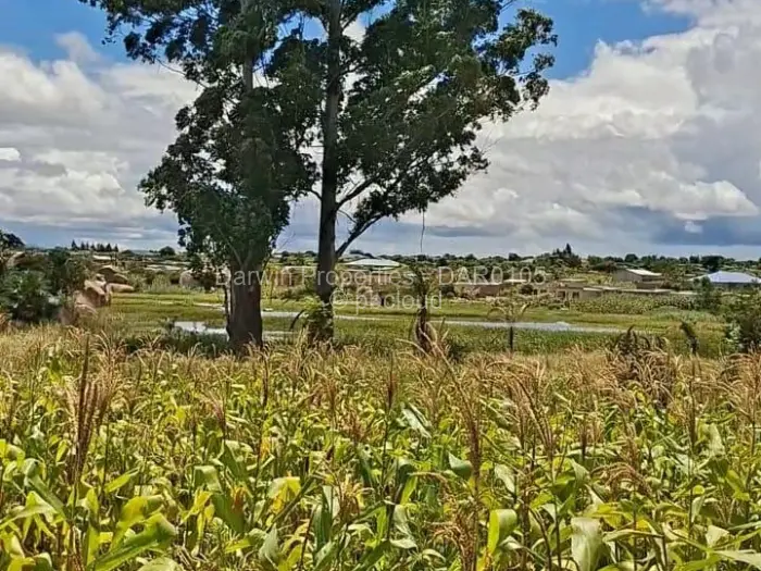 Farm/Plot for Sale in Ruwa, Ruwa