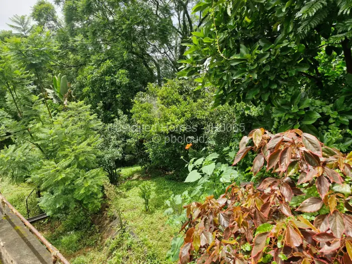 Retail/Shop for Sale in Chisipite, Harare