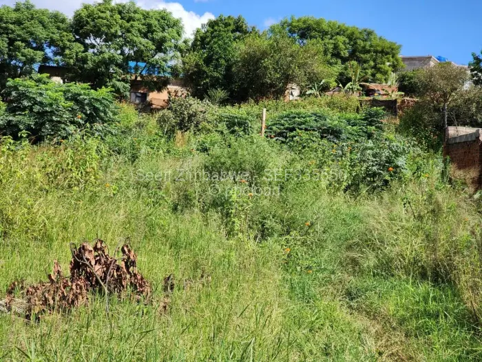 Commercial Stand for Sale in Pomona, Harare