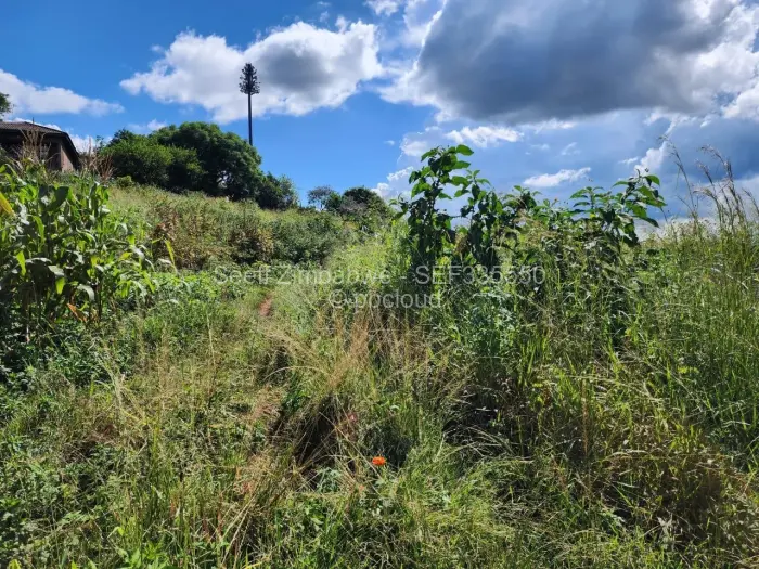 Commercial Stand for Sale in Pomona, Harare