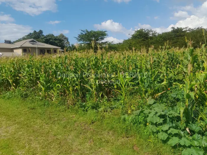 Residential Stand for Sale in Bluff Hill, Harare
