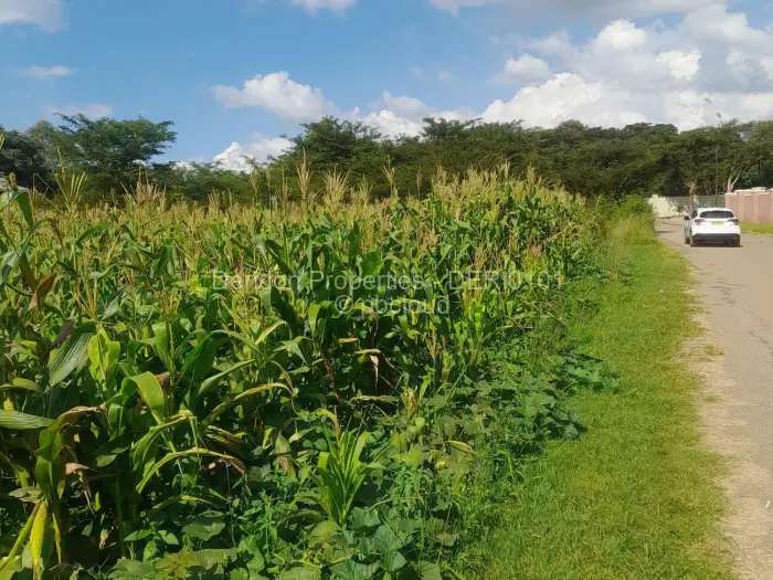 Residential Stand for Sale in Bluff Hill, Harare