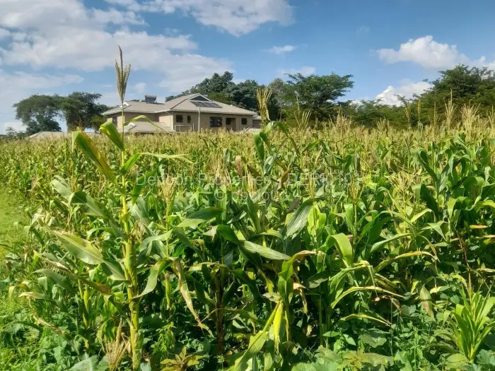 Residential Stand for Sale in Bluff Hill, Harare