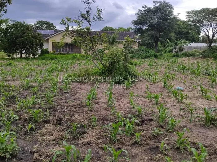 Residential Stand for Sale in Prospect, Harare