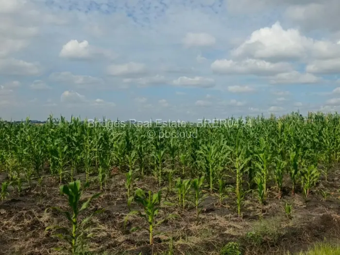 Farm/Plot for Sale in Rainham, Harare