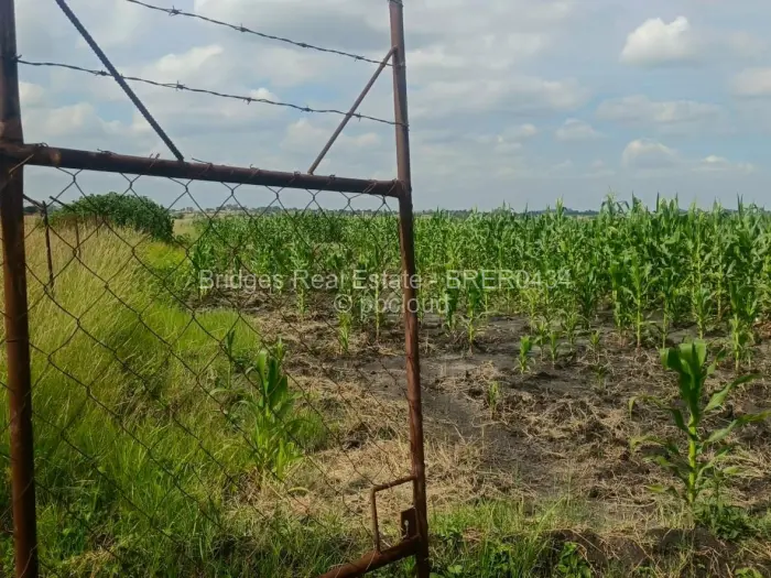 Farm/Plot for Sale in Rainham, Harare