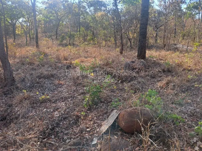 Residential Stand for Sale in Carrick Creagh Estate, Harare