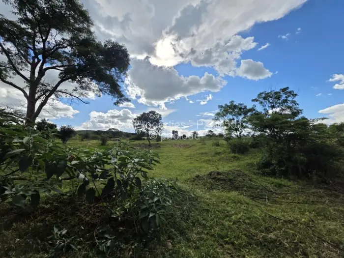 Farm/Plot for Sale in Arcturus, Arcturus