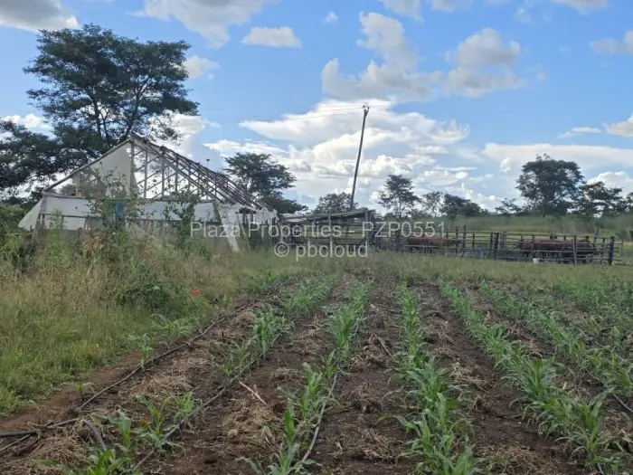 Farm/Plot for Sale in Arcturus, Arcturus