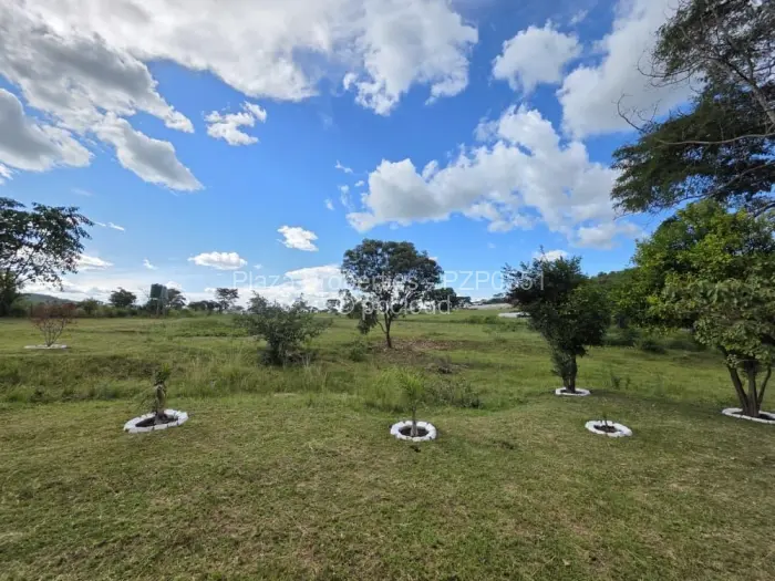 Farm/Plot for Sale in Arcturus, Arcturus