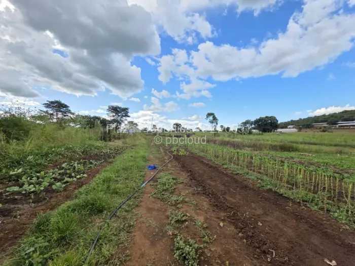 Farm/Plot for Sale in Arcturus, Arcturus