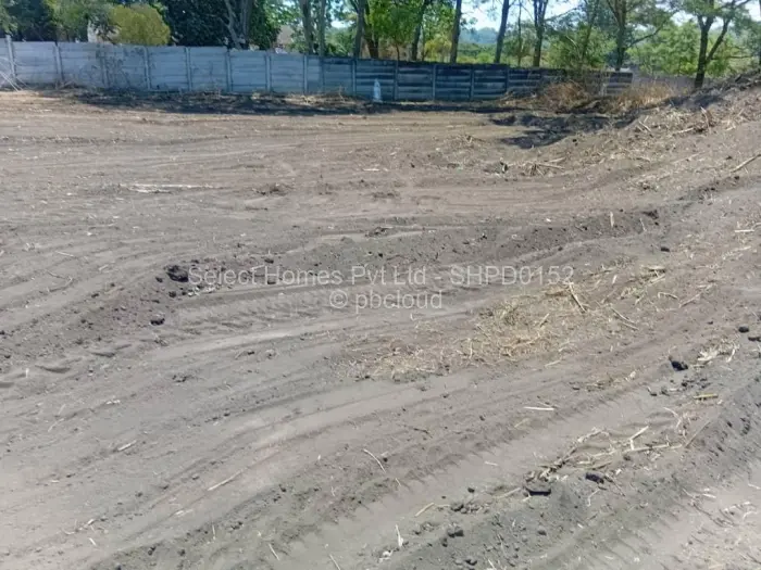 Residential Stand for Sale in Quinnington