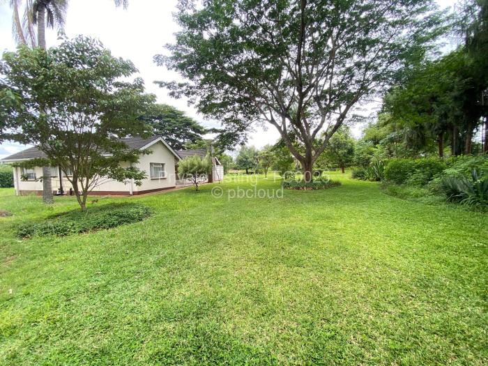 3 Bedroom House to Rent in Borrowdale, Harare