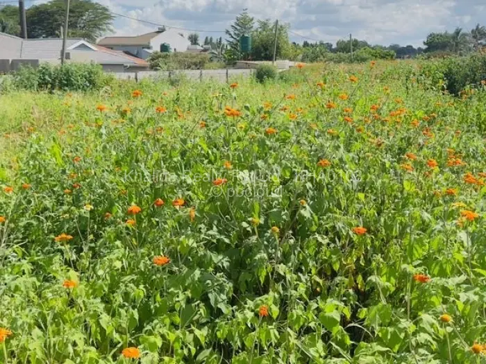 Residential Stand for Sale in Marlborough, Harare