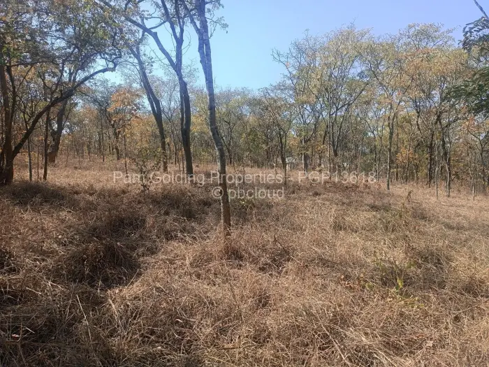 Commercial Stand for Sale in Nyanga, Nyanga