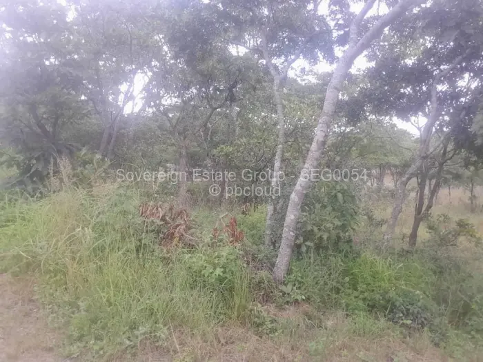 Residential Stand for Sale in Carrick Creagh Estate, Harare
