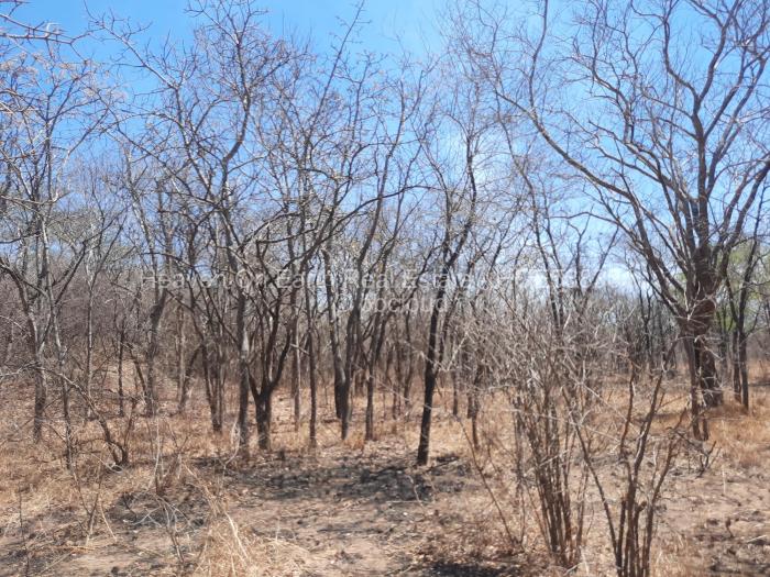 Farm/Plot for Sale in Chinhoyi, Chinhoyi