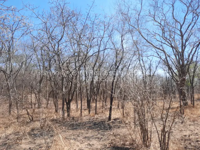 Farm/Plot for Sale in Chinhoyi, Chinhoyi