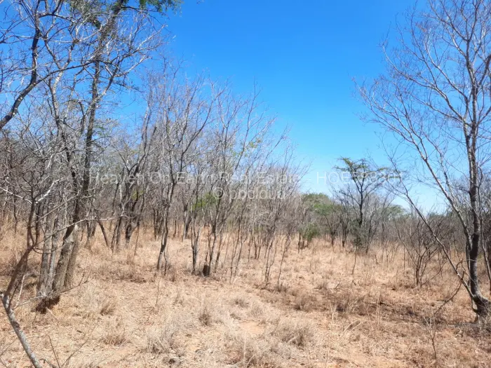 Farm/Plot for Sale in Chinhoyi, Chinhoyi