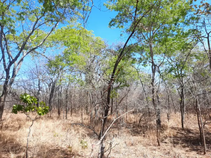 Farm/Plot for Sale in Chinhoyi, Chinhoyi