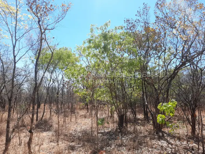 Farm/Plot for Sale in Chinhoyi, Chinhoyi