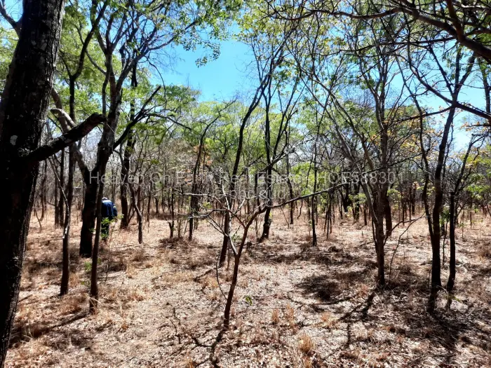 Farm/Plot for Sale in Chinhoyi, Chinhoyi