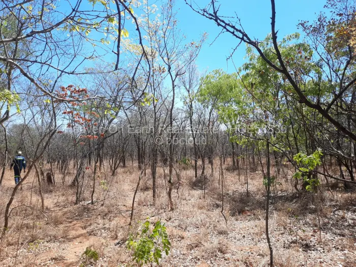 Farm/Plot for Sale in Chinhoyi, Chinhoyi