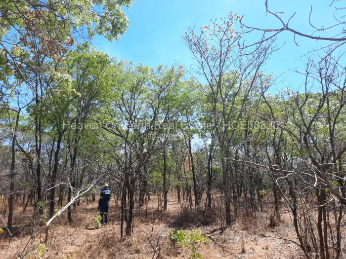 Farm/Plot for Sale in Chinhoyi, Chinhoyi